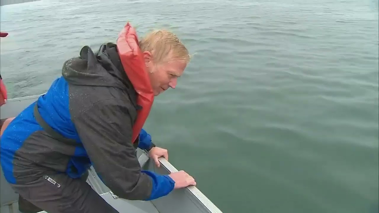 Andy's Adventures: Crabbing at Kelly Brighton Marina