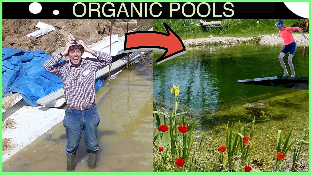 DIY Organic Pool - Disaster to Delight in 5 mins