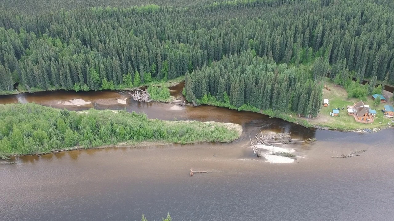 Salcha River, Fairbanks, Alaska - drone footage of one of the sloughs.