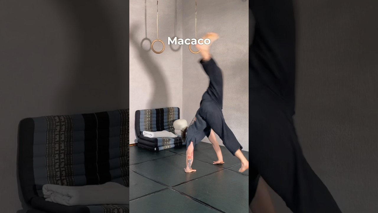 Ulepsz swoje Macaco w 3 krokach