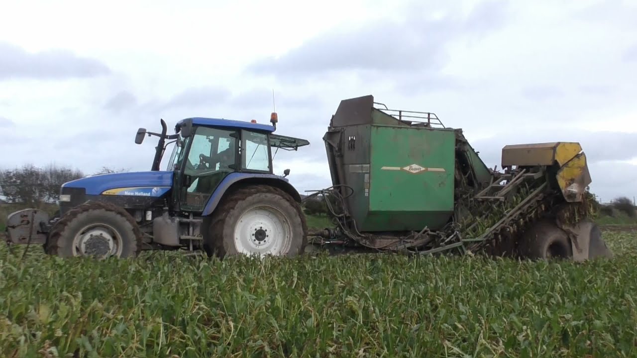 Beet 2020 T Motherway Agri & Plant Services Ltd