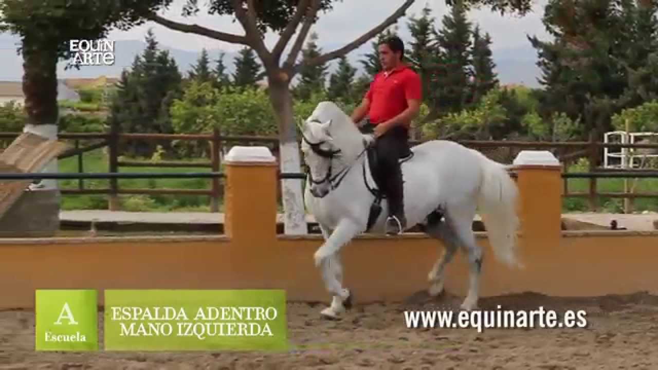 Equinarte - ESPALDA ADENTRO