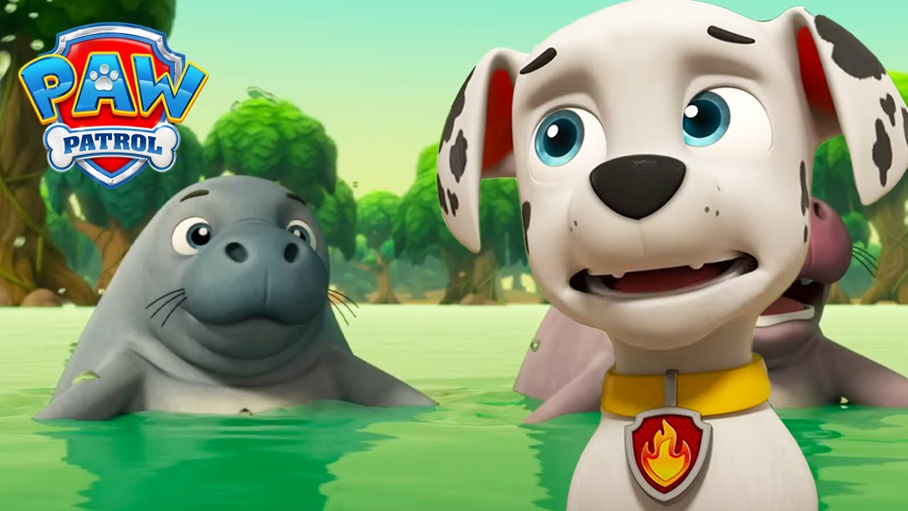 De zeekoe is vrij! Marshalls epische reddingsactie op zee 🌊 | PAW Patrol Nederlands