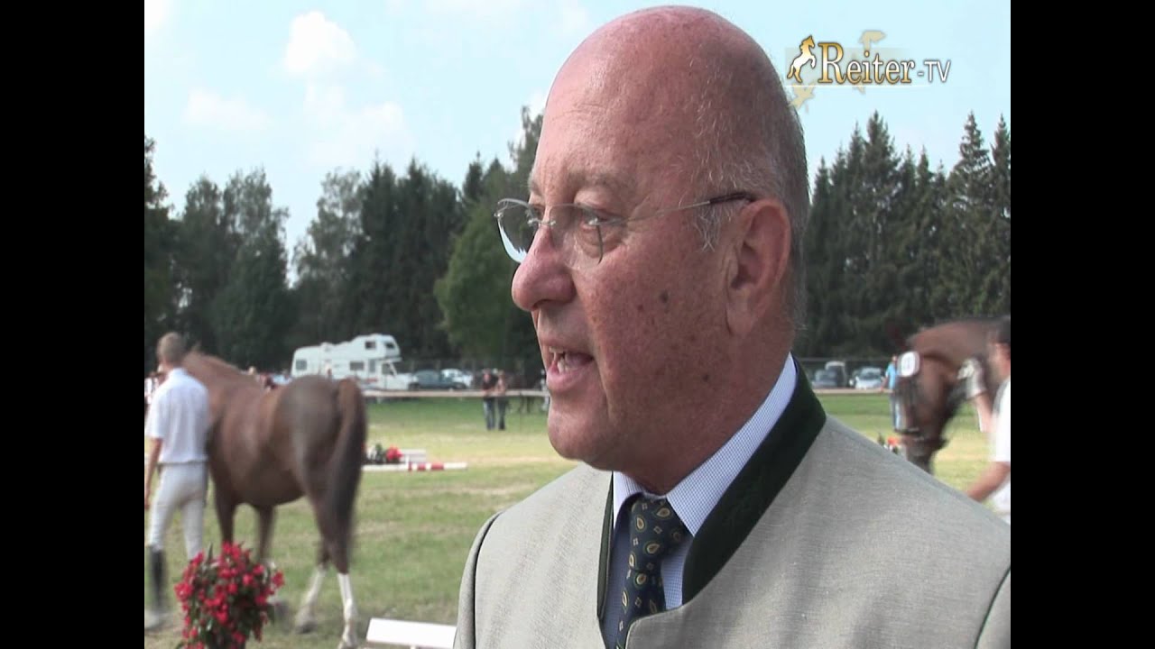 Rasseportrait Bayerisches Warmblut /Karpfhamer Volksfest