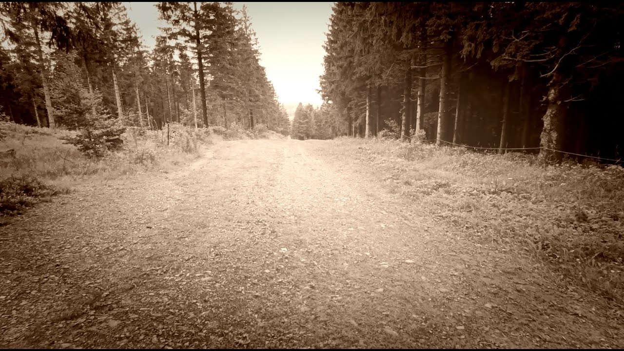 Take the long Way home