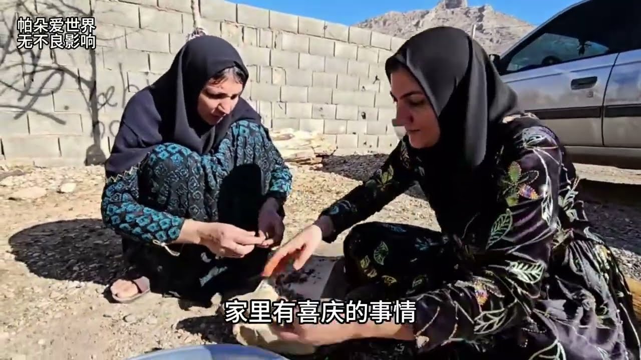 赛义德阻止法蒂玛的婚礼#纪录片解说 #伊朗游牧生活 #麦迪娜