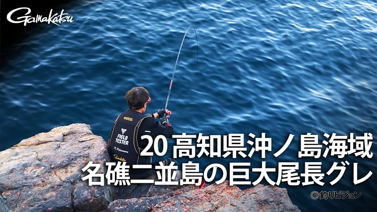 高知県沖ノ島海域 名礁二並島の巨大尾長グレ【G WORLD #20】