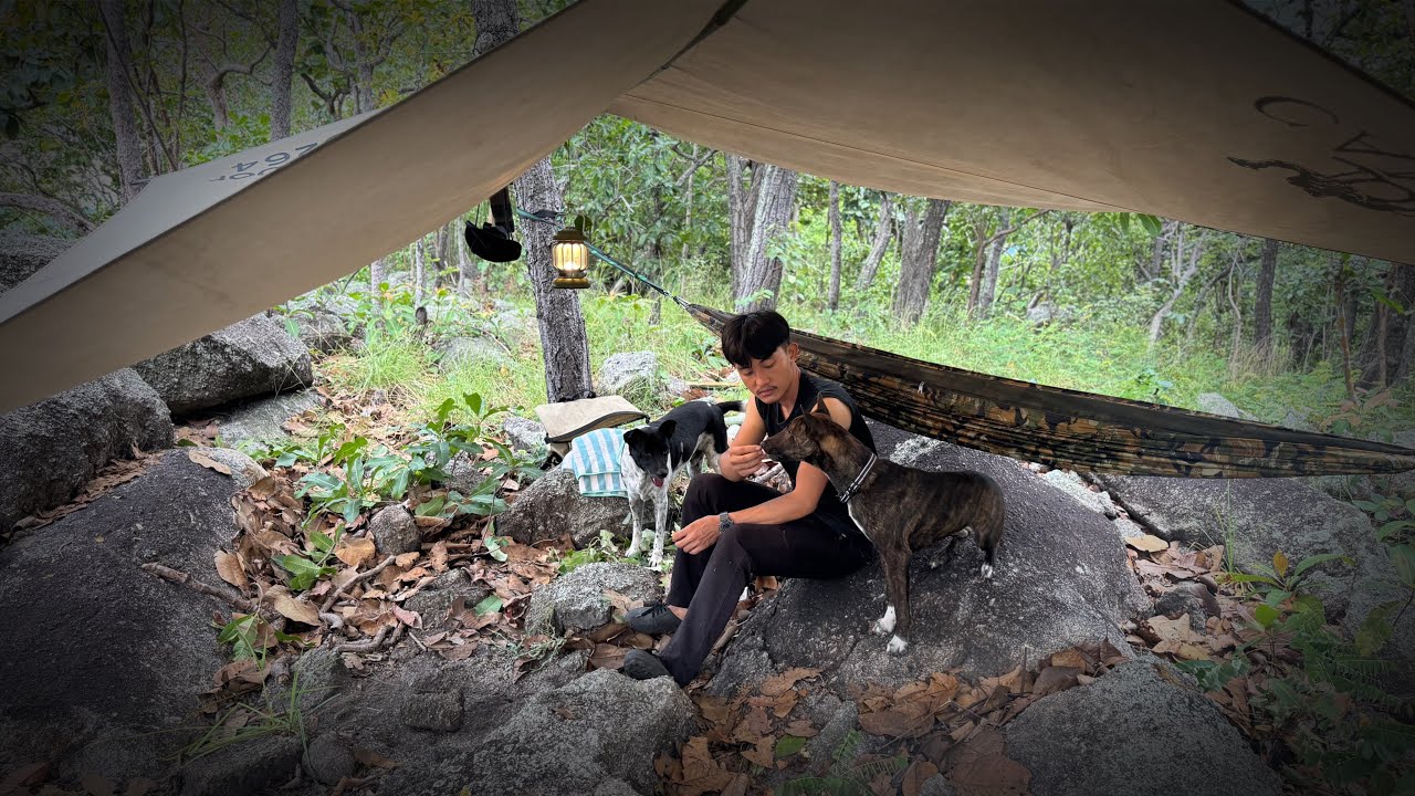 นอนป่าเต็งรังครั้งเเรก!ของเสือน้อยมีตัวอะไรบางอย่างแอบคืบคลานเข้ามาใกล้ๆที่พัก