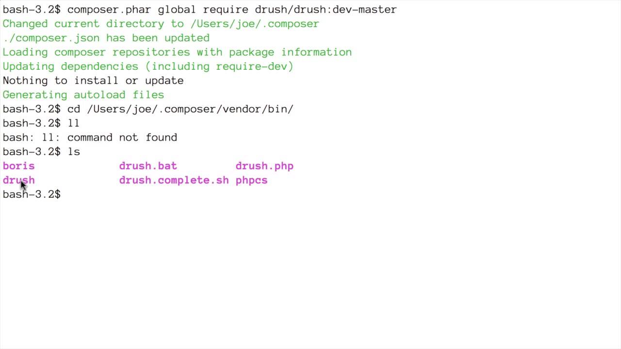 Installing Drush with Composer