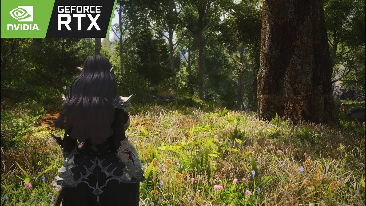 Skyrim Anniversary Edition | 500+ mods | RTX 5060 + Ryzen 7 5700x | Cabbage ENB + Reshade | 1080p