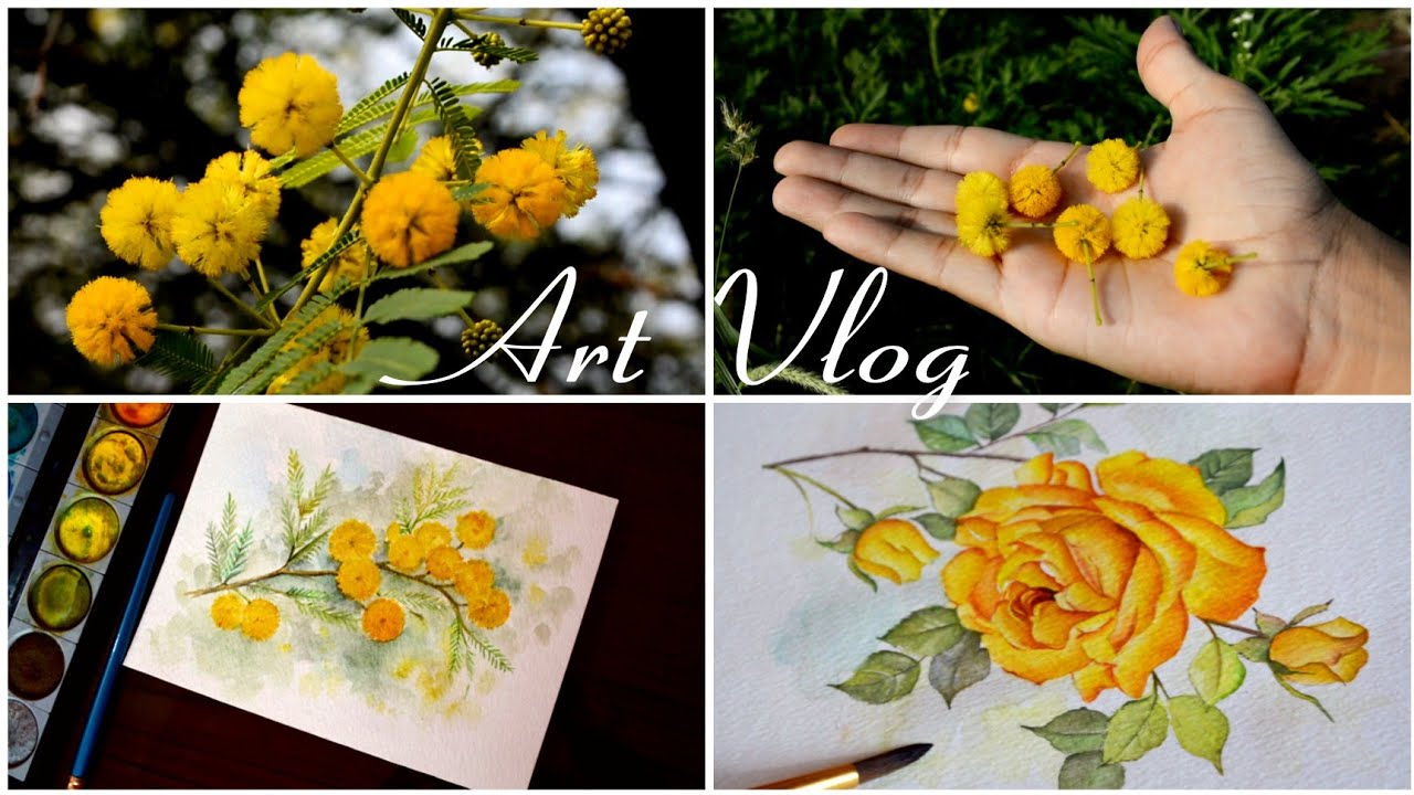 Yellow Flower Watercolor Painting And Art Vlog | Acacia Flower, Yellow Rose, WaterColor