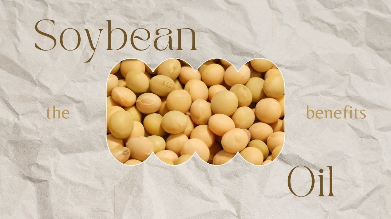 Know The Benefits of Soybean Oil - N-essentials Pty Ltd