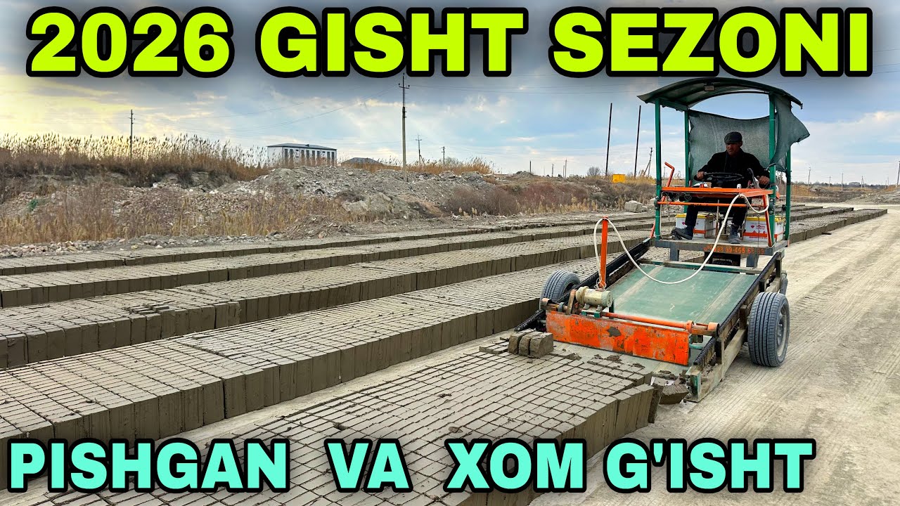 Pishgan Va Gisht Sezoni Boshlandi Narx Arzonladi Buxoroda Пишган Ва Хом Гишт Нархлари Арзон Нарда