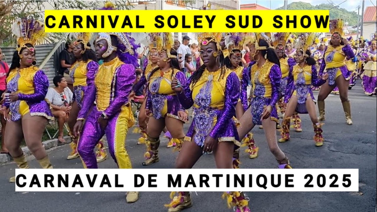 Plongez dans l'ambiance festive de la parade Soley Sud Show au François !