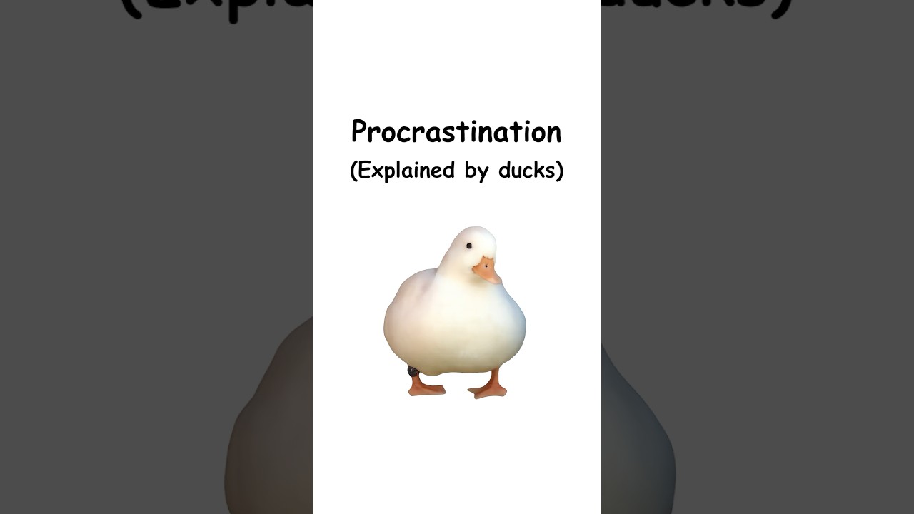 Procrastination (explained by ducks)