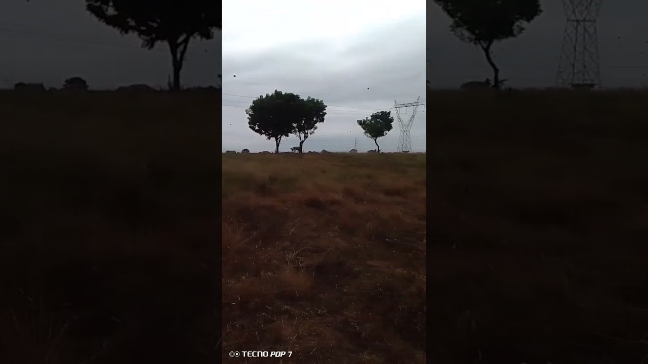 LES TERRAINS APPROUV&Eacute;S EN VENTE A N'DOUCI VILLE &Agrave; 2 500 000F. eau et &eacute;lectricit&eacute; disponible. CI