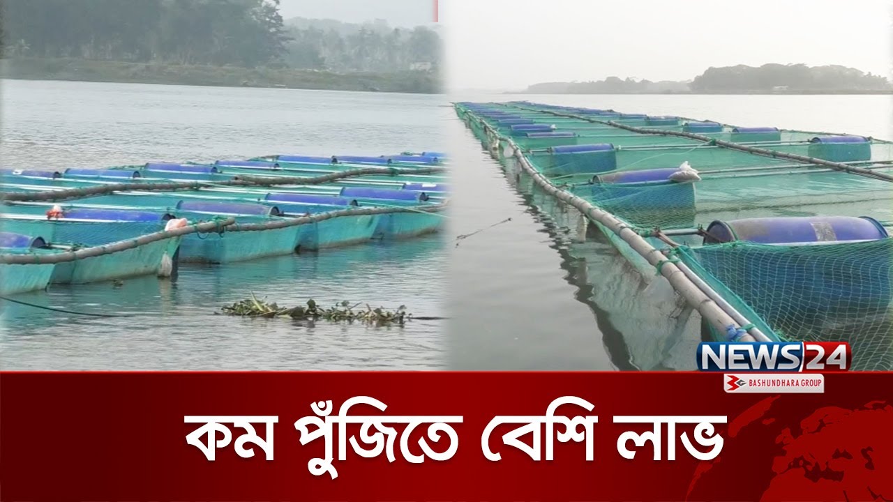 খাঁচায় মাছ চাষ করে ভাগ্য বদল | Cage Fish | News24