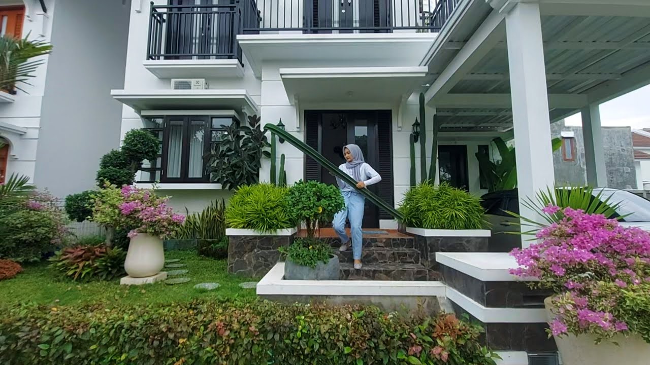 Кактус-ковбой, подталкивающий небо | Безопасные советы по размножению устойчивых к гниению кактусов