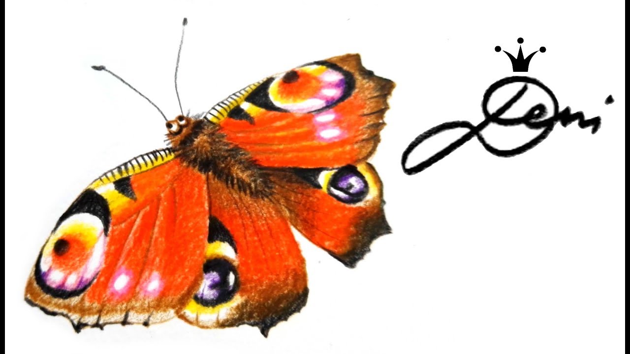Schmetterling zeichnen 🦋 Tagpfauenauge 🦋 peacock butterfly drawing 🦋 как се рисува пеперуда 🦋
