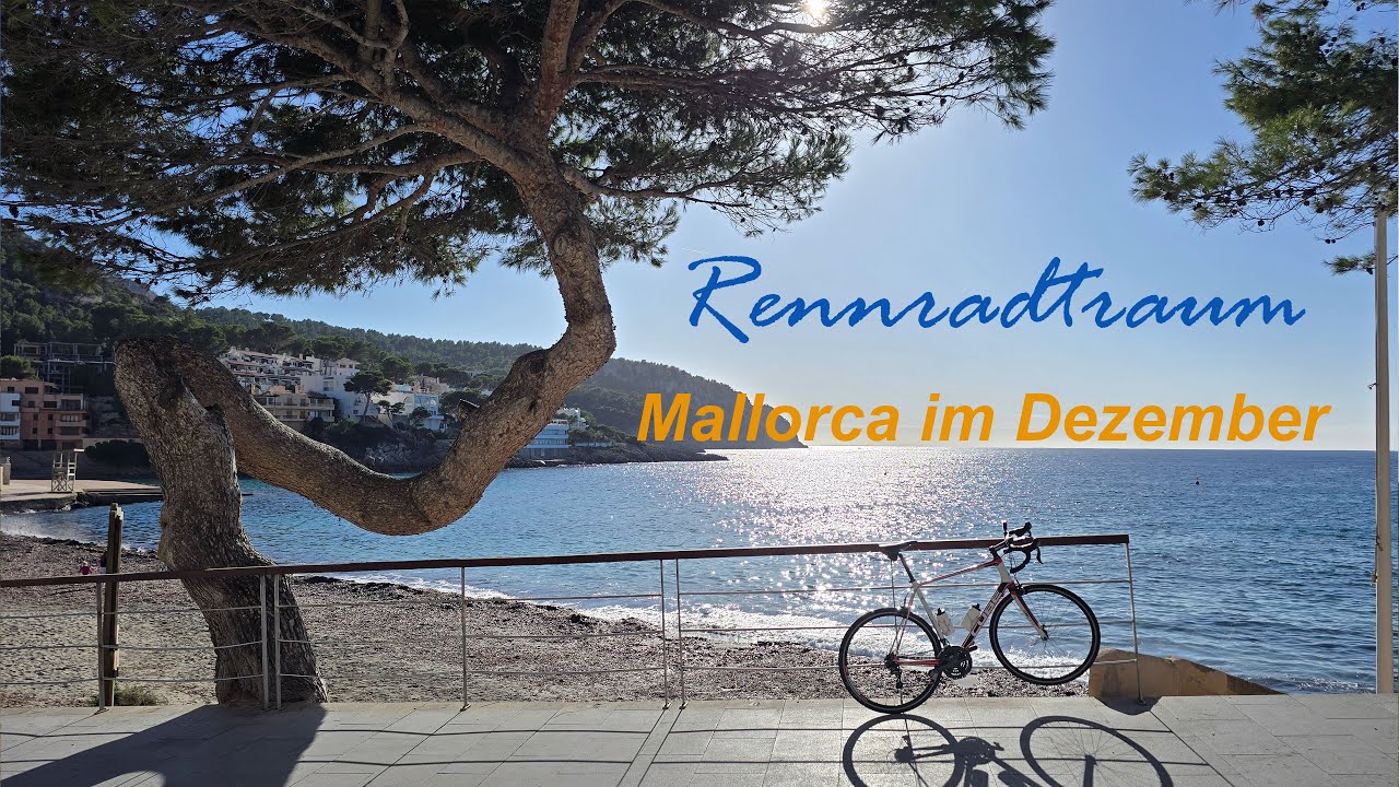 Rennradfahren auf Mallorca im Dezember