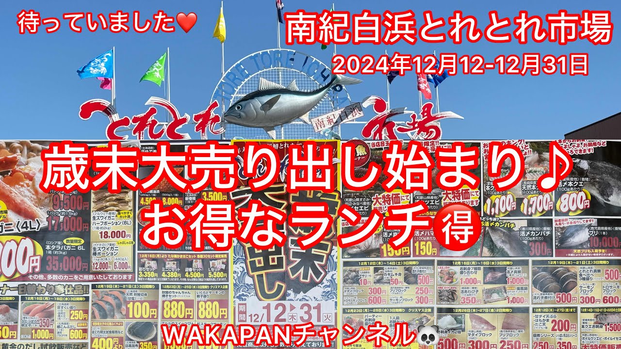 南紀白浜とれとれ市場　歳末大売り出し始まり♪お得なランチ🉐WAKAPANチャンネル🐼
