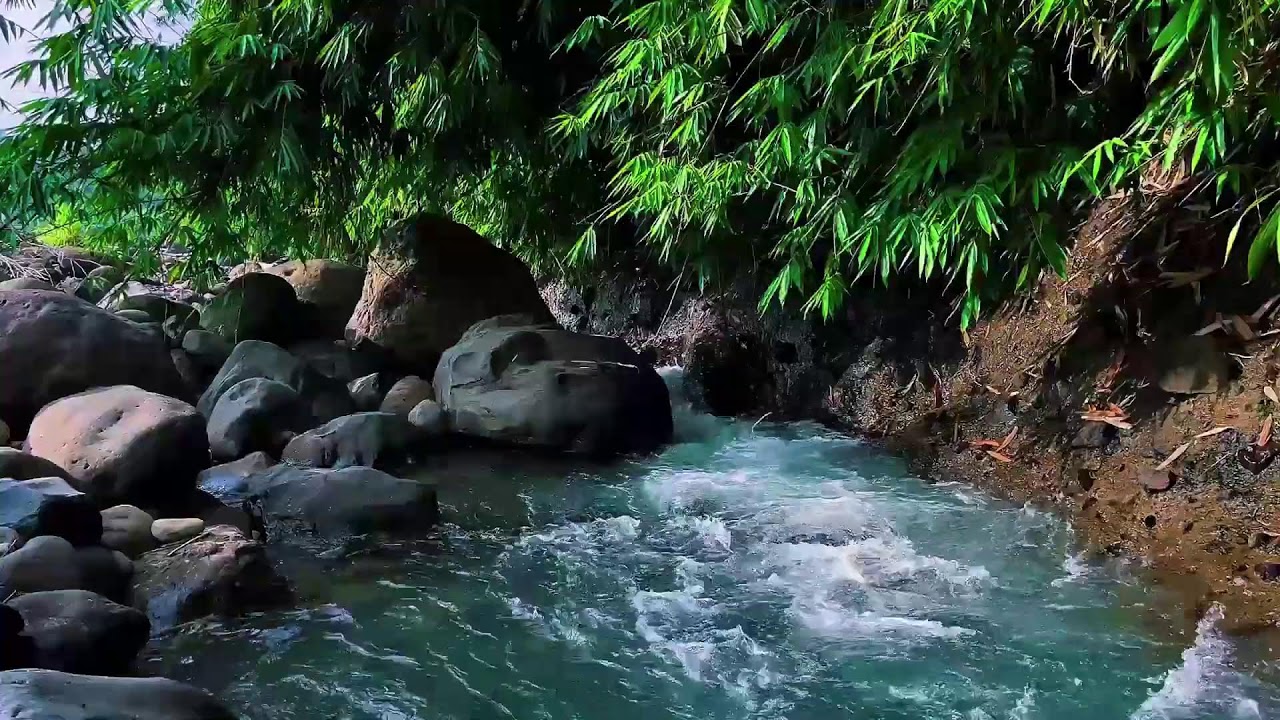 Gentle Stream Around River Stones – Relaxing Water Sounds for Deep Sleep