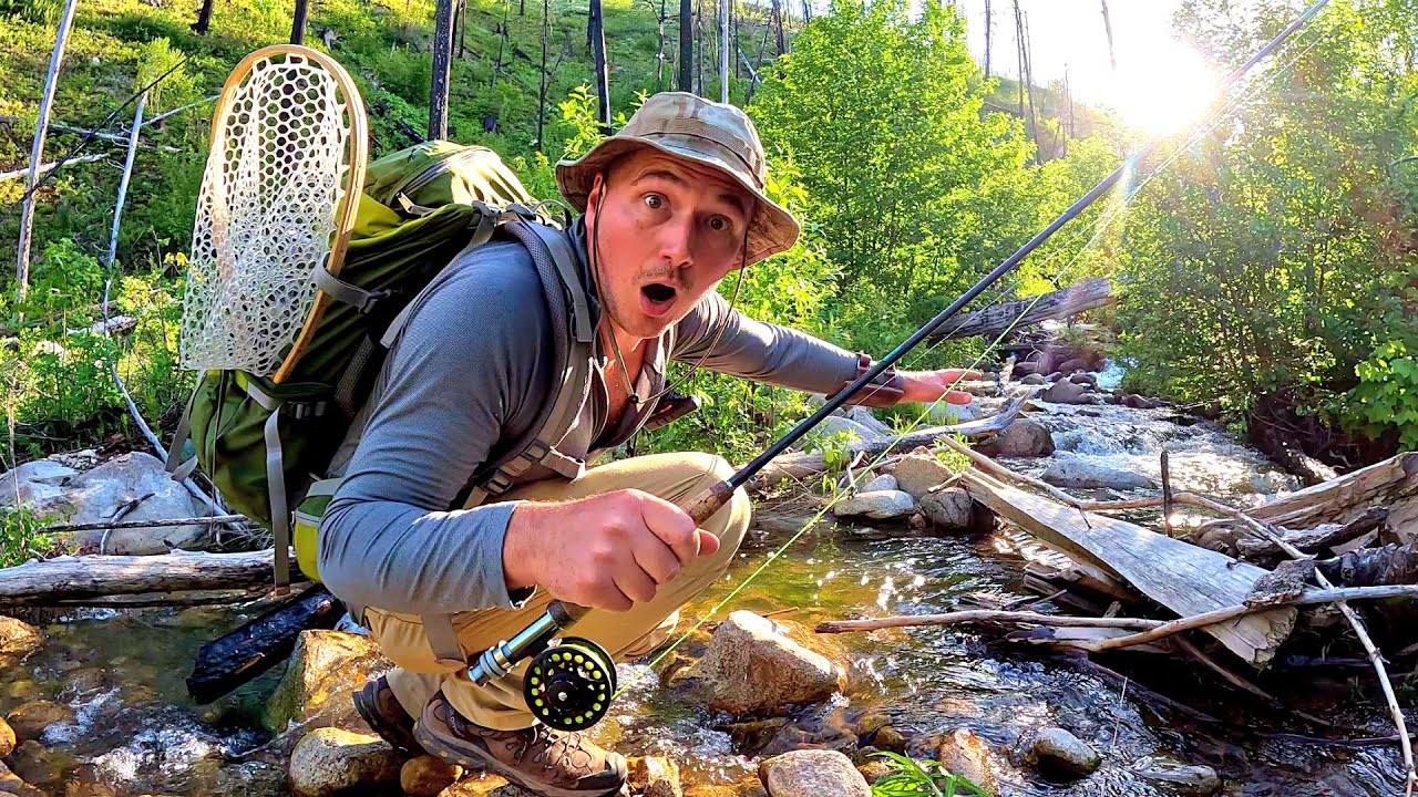 Trout Fishing a TINY Mountain River!!! (RATTLESNAKE ENCOUNTER)