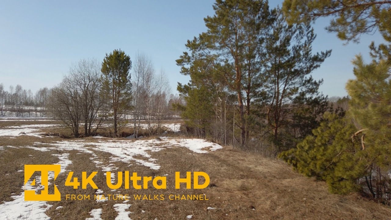 A Morning Walk in Cloudy Spring Weather