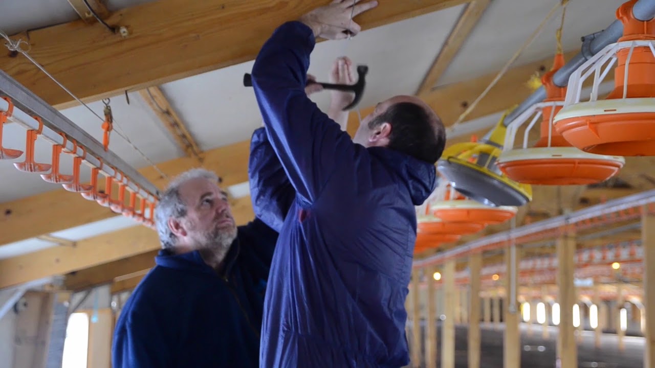 Installation of Greengage ALIS LED lighting system in a poultry barn