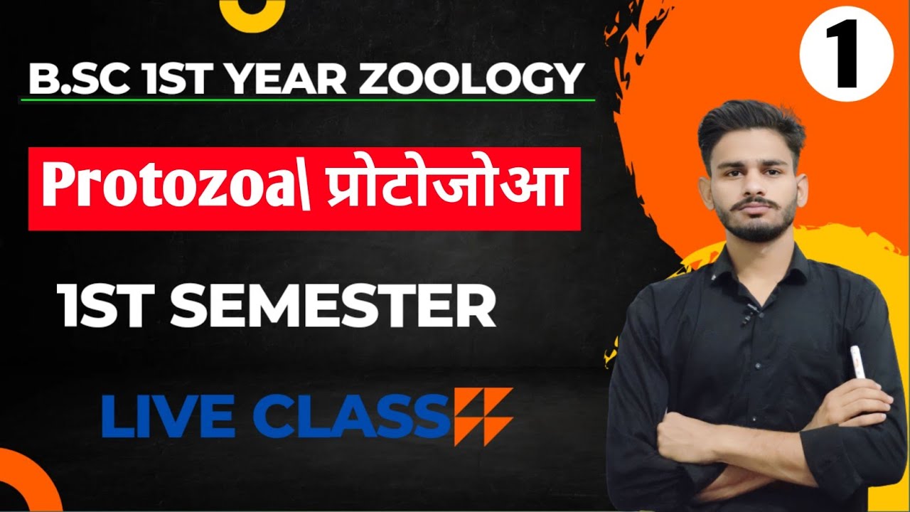 (प्रोटोजोआ) B.Sc 1st year zoology chapter 1 на хинди | bsc 1st year zoology | zoology bsc 1st year