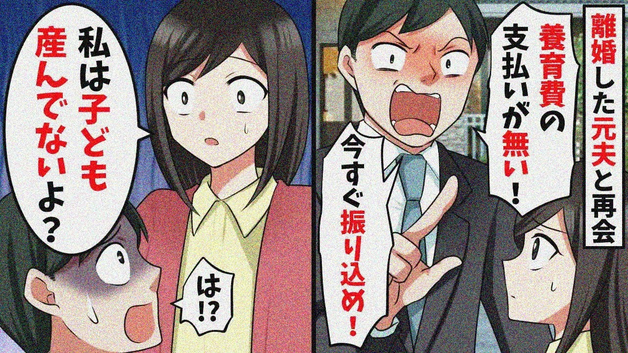 離婚した元夫が「養育費が払われてない！！」→そもそも子どもはいないと伝えると…【スカッと】【総集編】