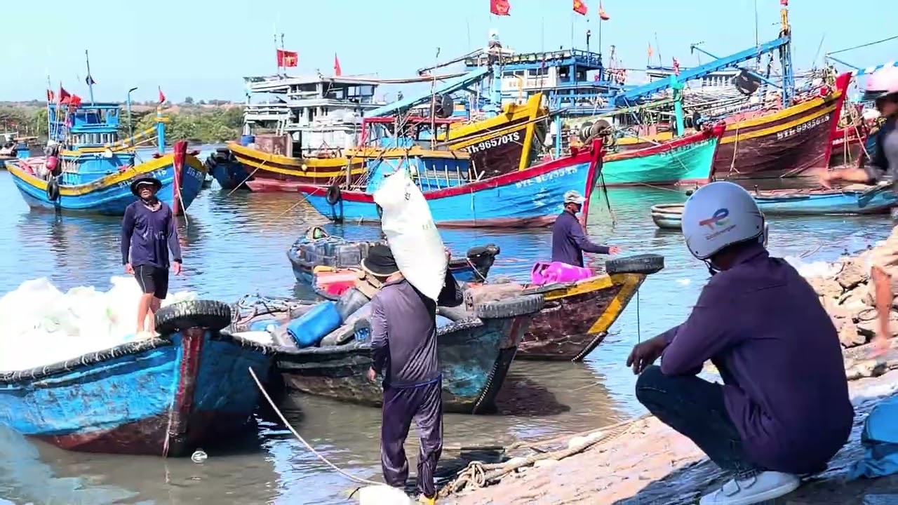 Những Âm Thanh Xứ Biển Này Có Làm Mọi Người Nhớ Quê Không . Buổi Sáng Như Bao Ngày Của Dân Biển