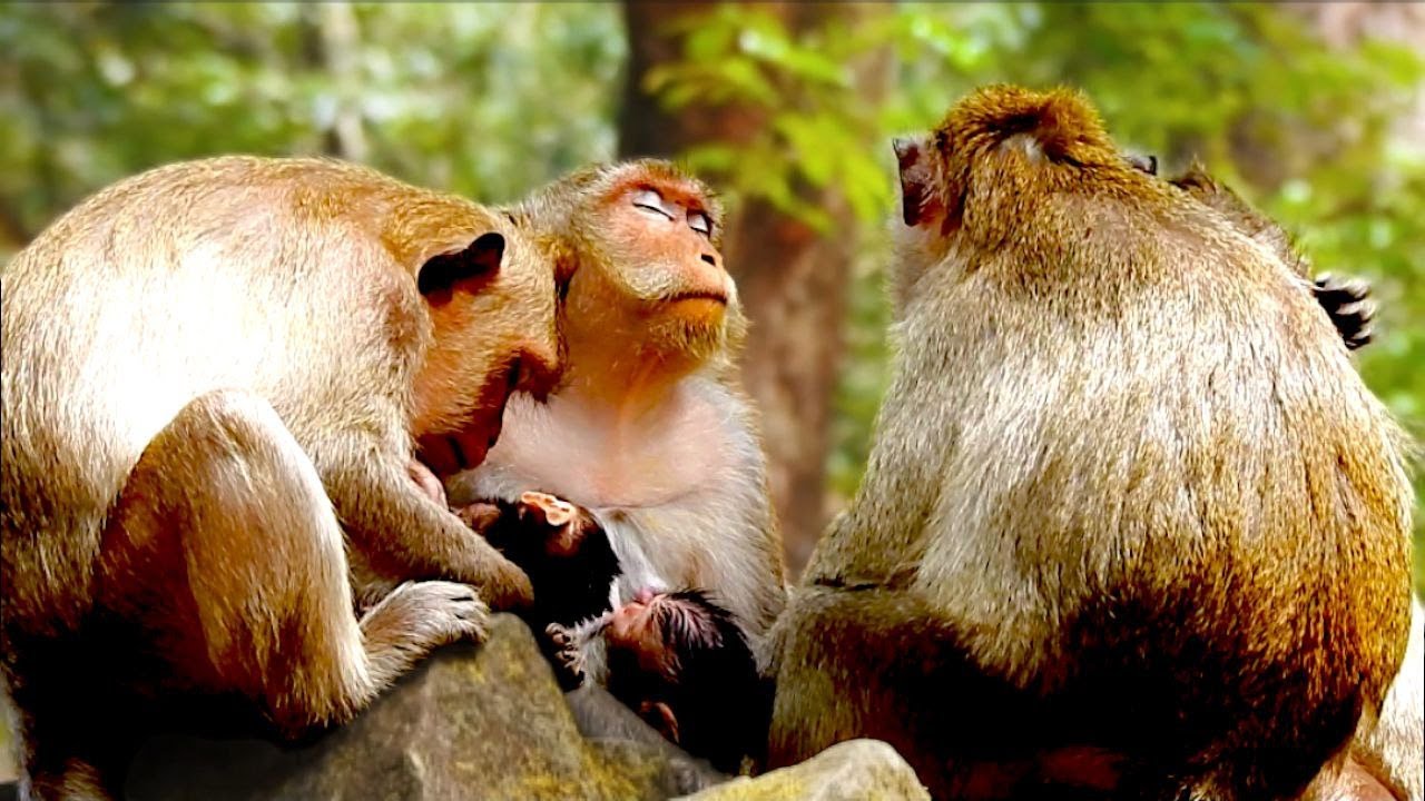 Why Mom Didn’t Stay Long After the Reunion
