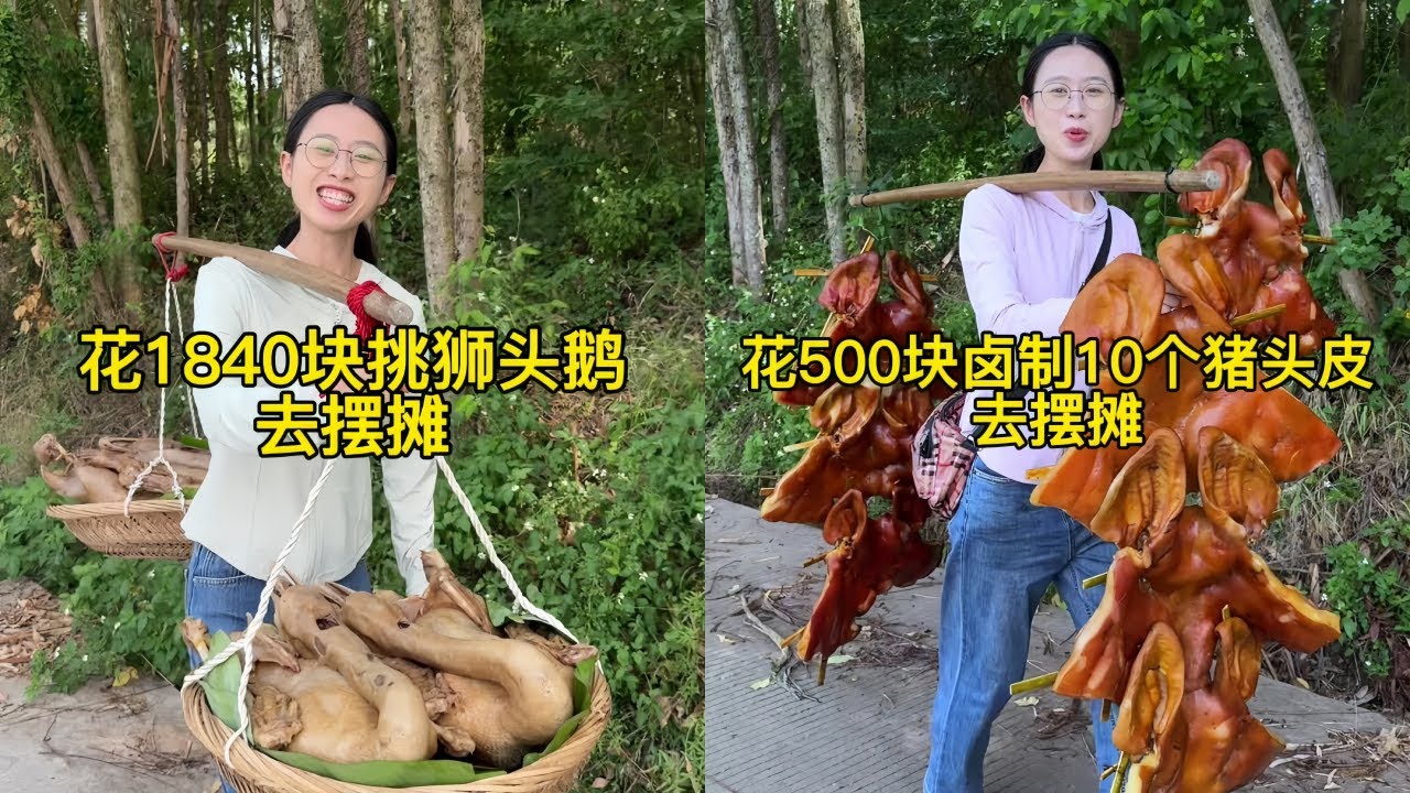 白菜花1840元挑4只白切狮头鹅去乡集摆摊，看看到底多久才能卖完？｜花500元让爸爸帮忙卤制10个猪头皮去菜市场摆摊，菜市场的人非常捧场大家尝着老爸的手艺纷纷表示不错！
