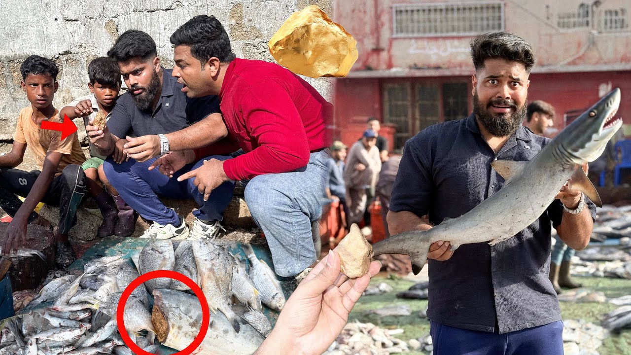 I FOUND GOLD STONE INSIDE FISH STOMACH ! 😱 GONE WRONG 
