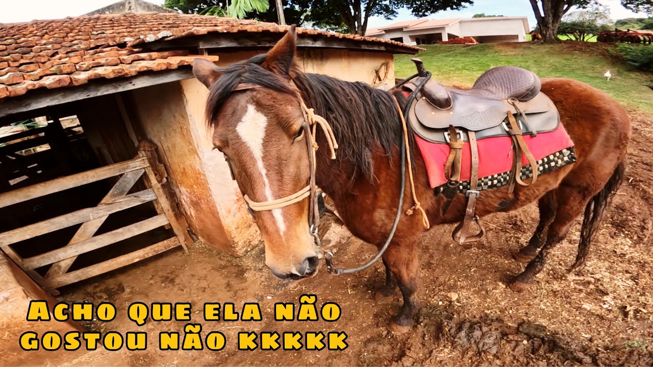 Dia de tirar a estrelinha do sossego kkkkkk (ro&ccedil;avlog)