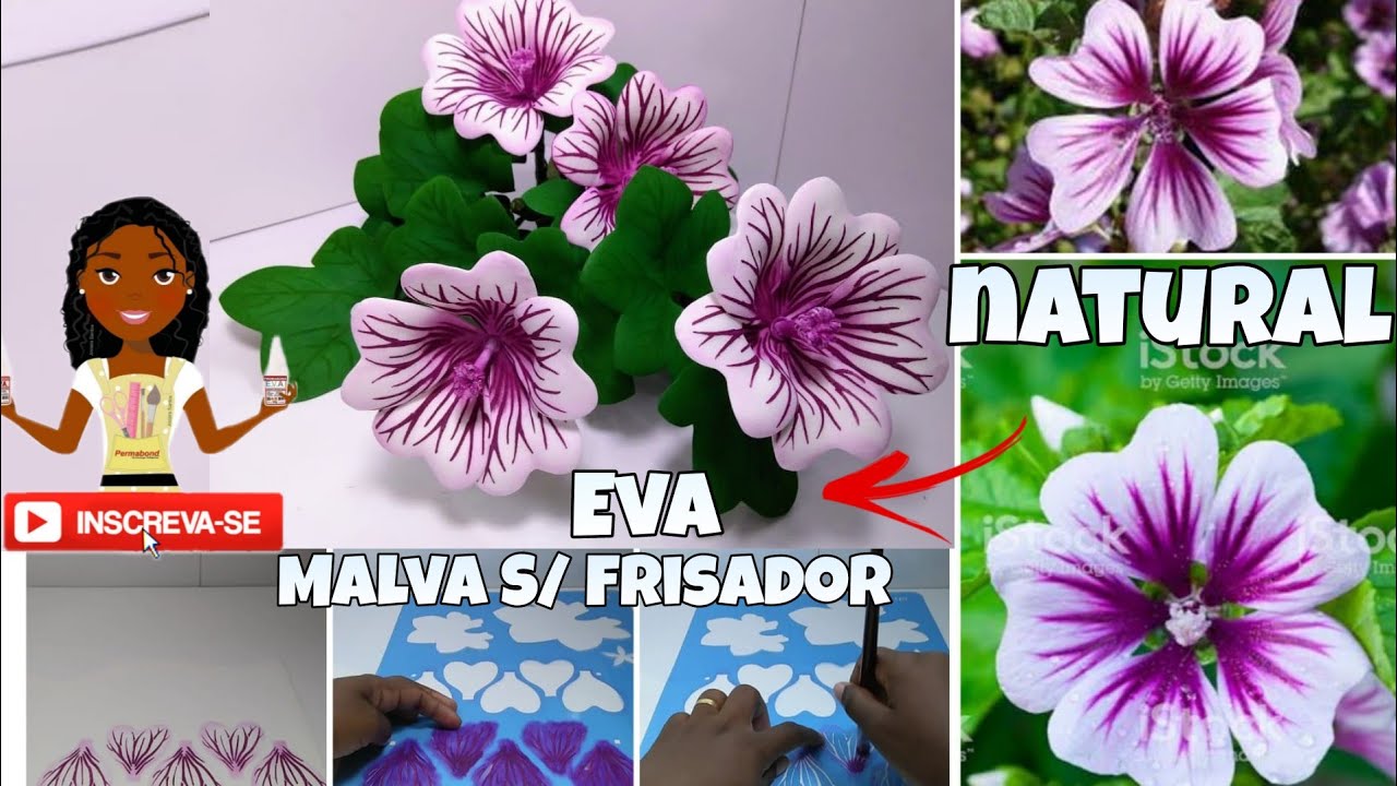 Flor malva Sem Frisador