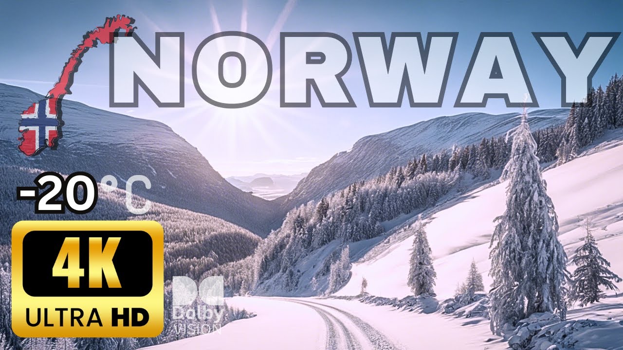 Pine Trees and Icy Rocks: Nordic Road Odyssey 4K