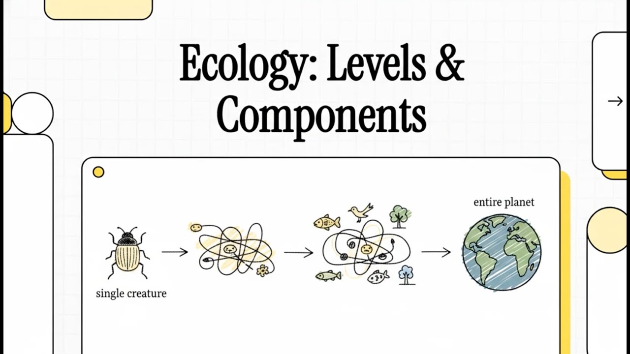 Ecology: Levels of Organization and Ecosystem Components