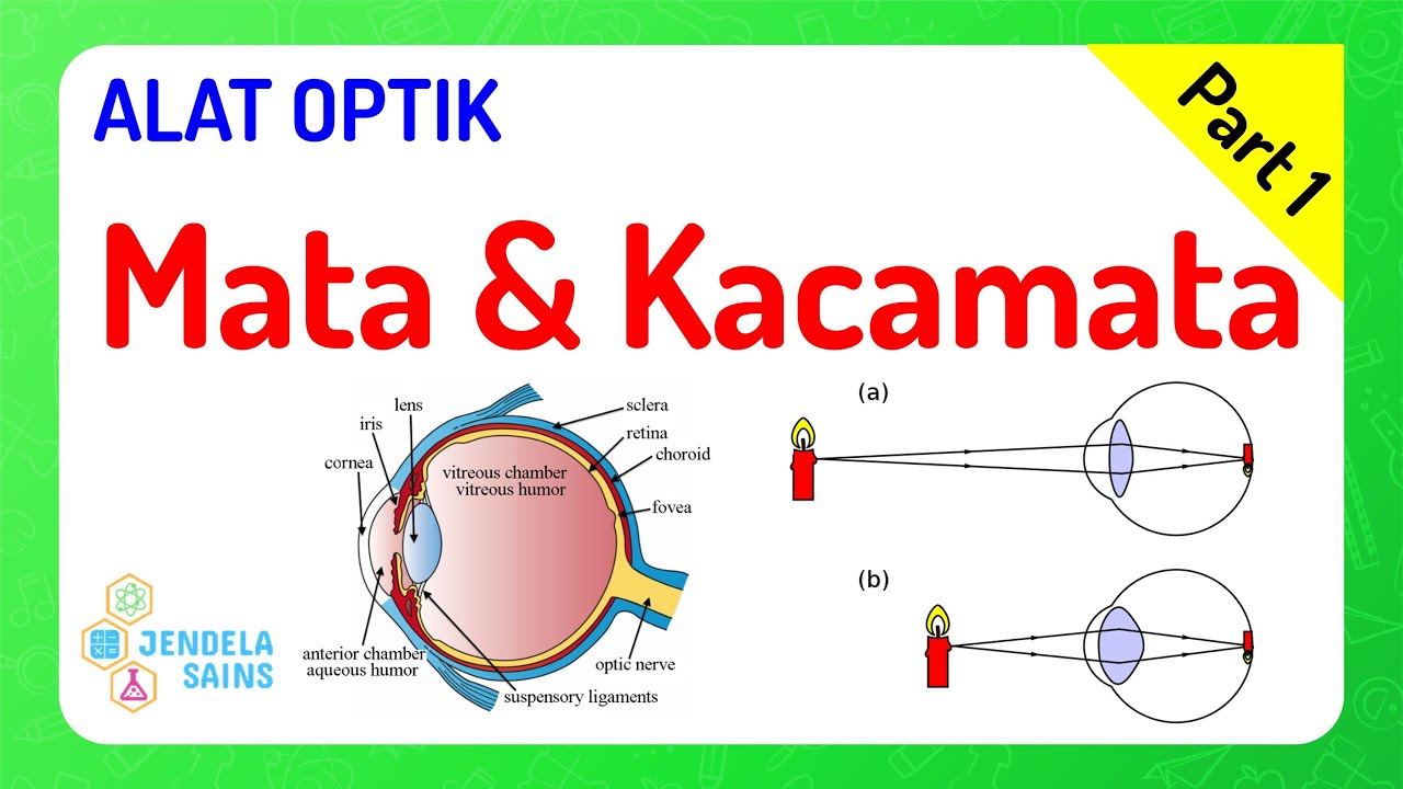Alat Optik • Part 1: Mata, Gangguan Penglihatan Miopi Hipermetropi, & Kacamata
