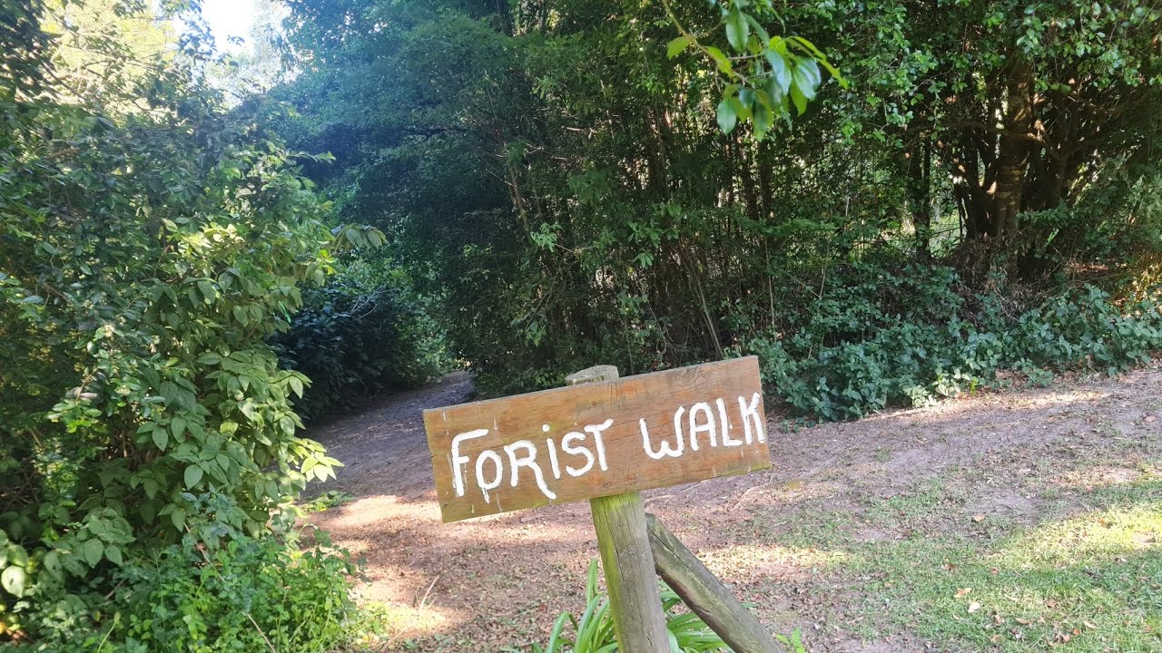 The Hiking Experience E163: Firefly