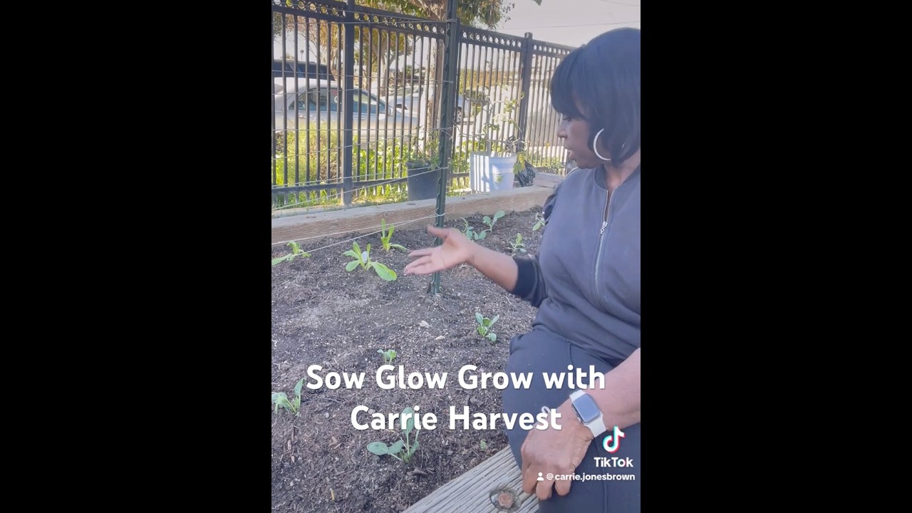 Sow Glow Grow with Carrie Harvest 
