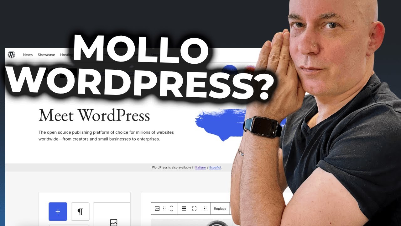 Ha ancora senso INVESTIRE in WordPress nel 2025?