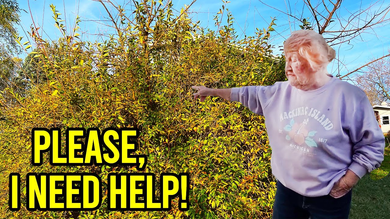NOBODY Would Help This Elderly Lady, This Will Leave You in TEARS!