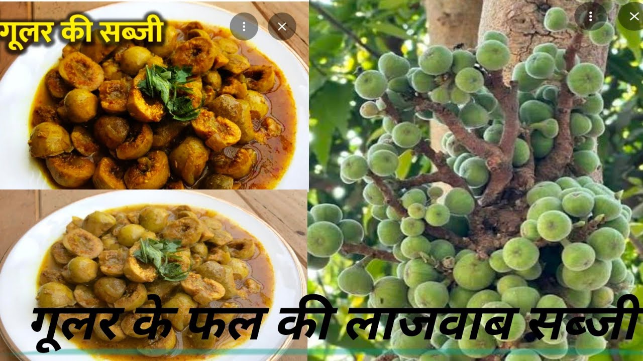 गूलर के फल की लाजवाब सब्जी 🧆🧆
