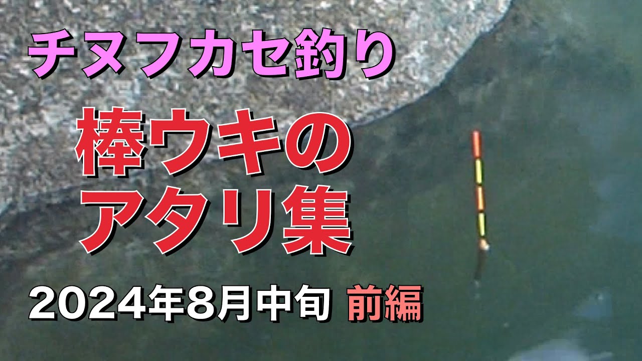波止場のフカセ釣りでチヌのアタリ11連発　棒ウキのアタリ集　2024年8月中旬・前編