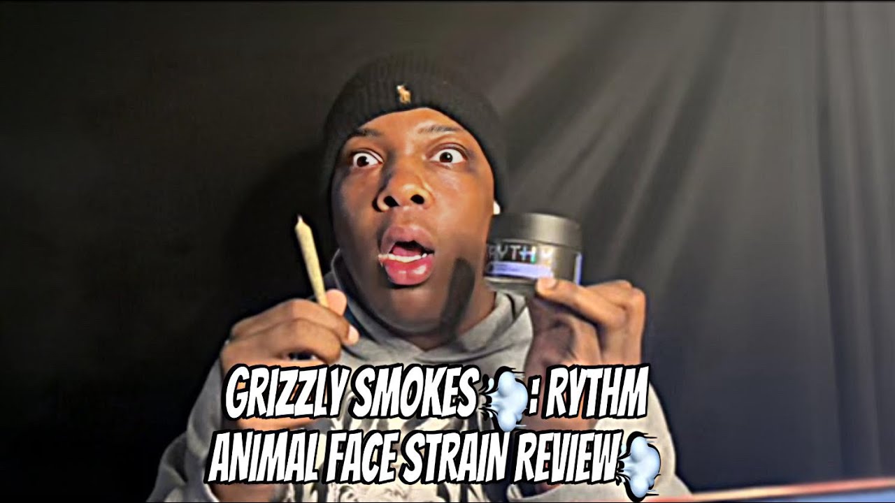Grizzly Smokes 💨: RYTHM  ANIMAL FACE STRAIN REVIEW💨