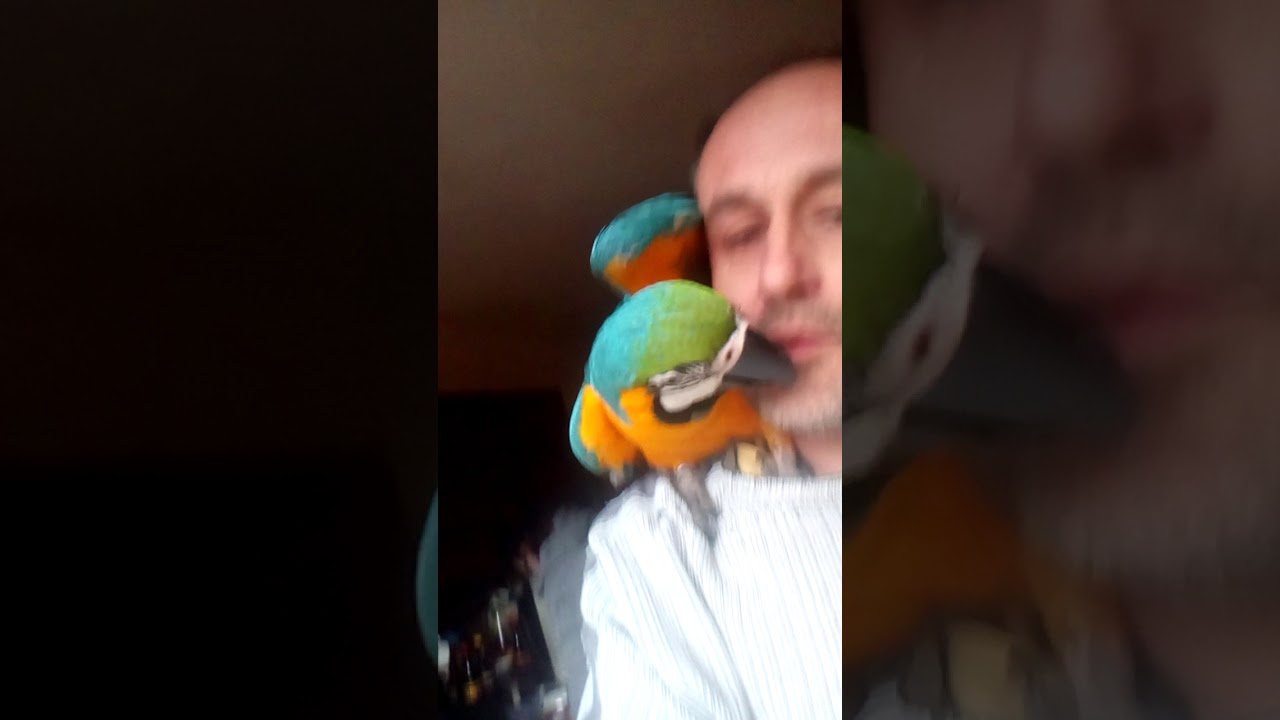 VID 20180119 1402221