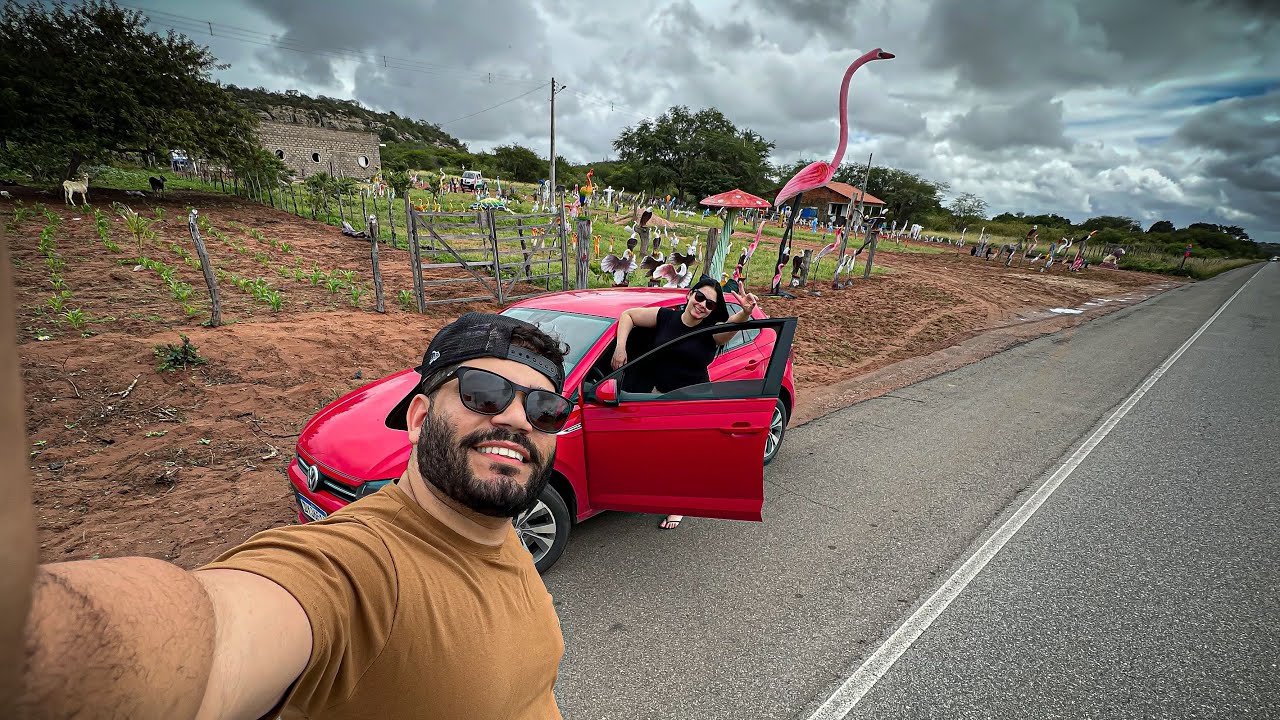 PRIMEIRA VIAGEM DE CARRO DIRIGINDO SOZINHO DO NORDESTE A SÃO PAULO 2025