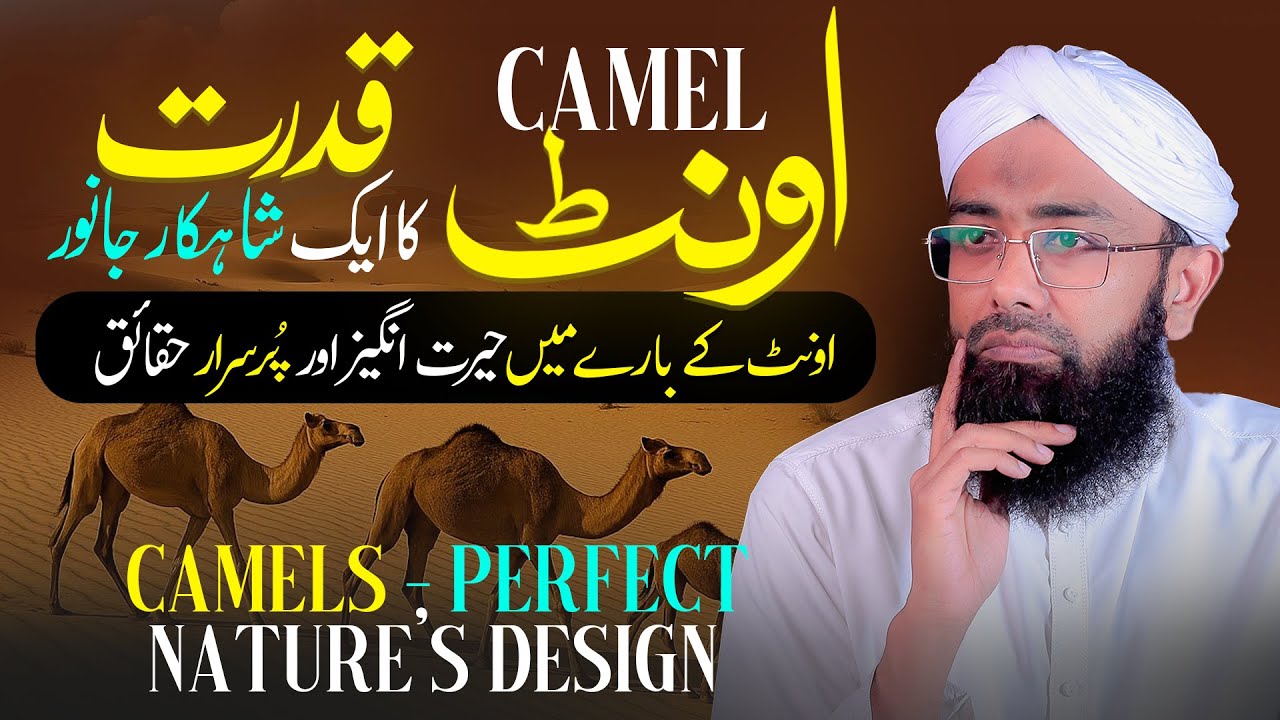 Amazing Facts About Camels | Oont ka Gosht Khane ke Fayde | Camel Milk Benefits | Soban Attari